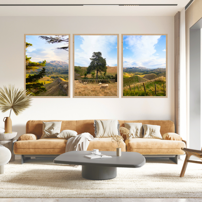 New Zealand Farm Gallery Set of 3