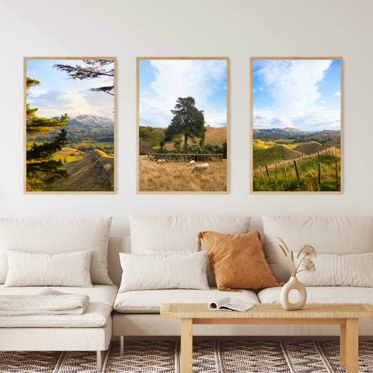 New Zealand Farm Gallery Set of 3