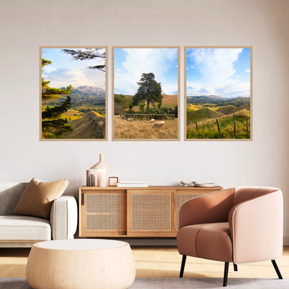 New Zealand Farm Gallery Set of 3