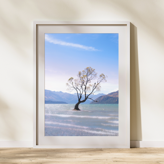 That Wanaka Tree